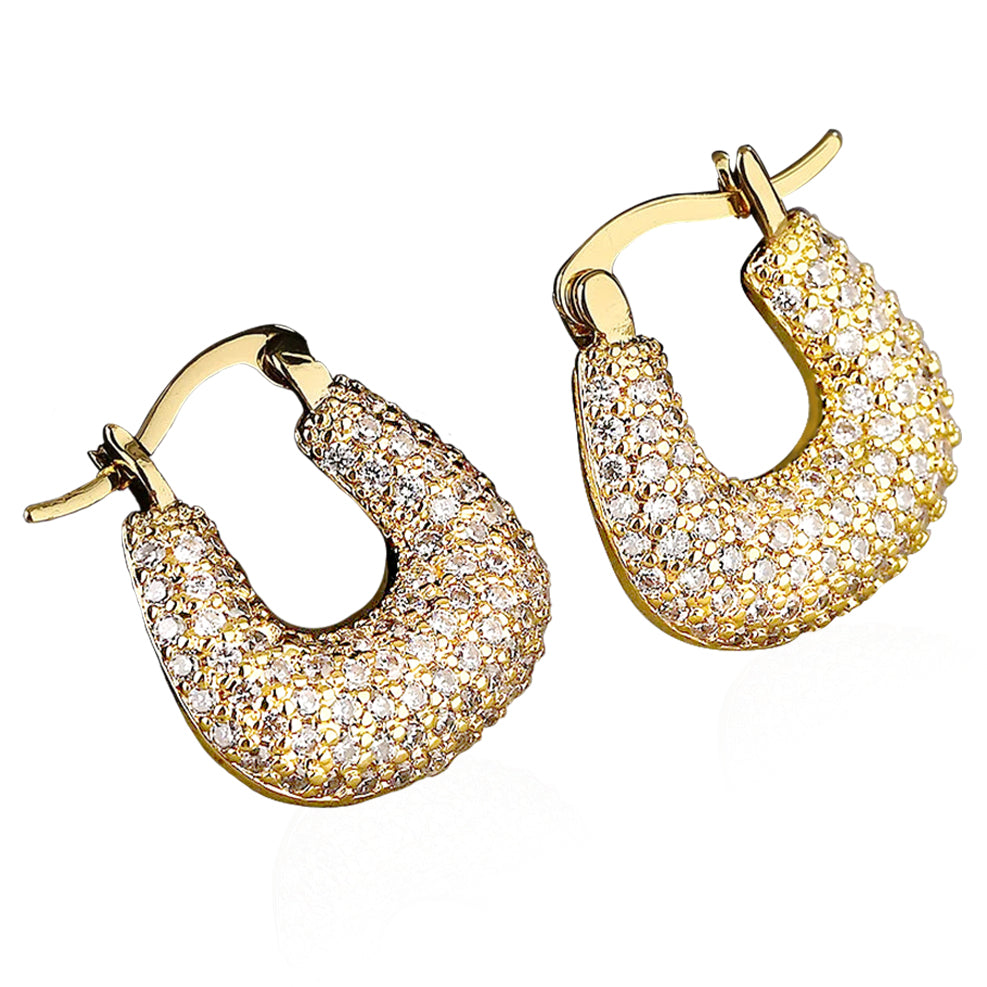 Modern Elegant Earring