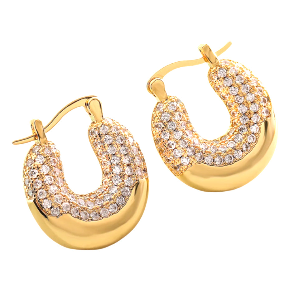 Modern Elegant Earring